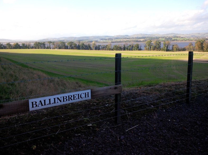22.4 Ballinbreich farmland, rotated, first